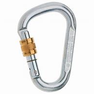 Image result for Metal Carabiner