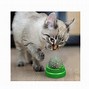 Image result for Catnip Ball