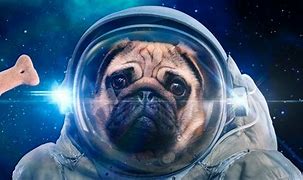 Image result for Space Beautiful Funny