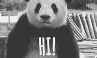Image result for Panda Emojies