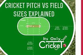 Image result for Mini Cricket Field