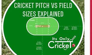 Image result for Cricket Field Size