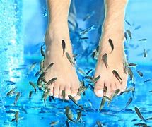 Image result for Fish Pedicure Sign