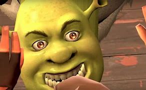 Image result for What Are You Doing My Swamp