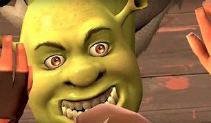 Image result for Shrek Get Out of My Swamp Meme