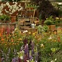 Image result for Gardeners World Chelsea Flower Show