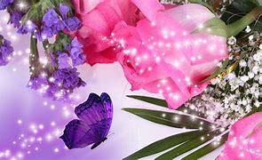 Image result for Purple and Pink Roses Wallpaper