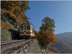 Image result for Local Train