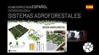 Image result for agrogorestal