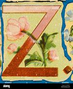 Image result for Floral Letter Z