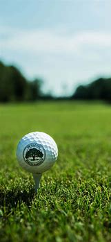 Image result for iPhone XS Golf