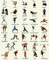 Image result for types of martial arts