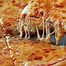 Image result for Great Pizza Meme