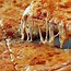 Image result for NY Pizza Meme