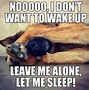 Image result for Funny Sleeping Dog Memes