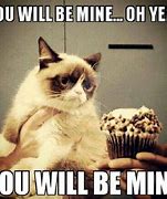 Image result for Grumpy Cat Xmas Meme