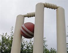 Image result for Cricket Wicket Sensor