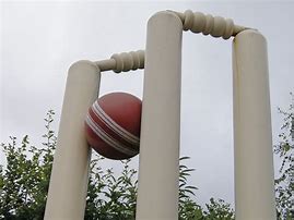 Image result for Big Cricket Bag