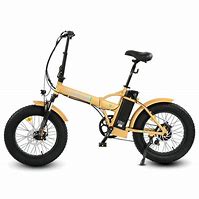 Image result for Ecotric Electric Bike Fat Boy