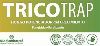 Image result for actimom�trico