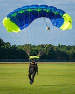 Image result for Parachute