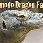 Image result for Komodo Dragon Head