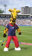 Image result for Cricket Cutter Mascot