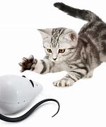 Image result for Catnip Toys