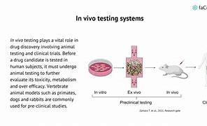 Image result for In Vivo Systems