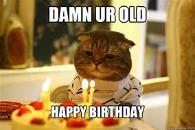 Image result for Happy Birthday You're Old Meme