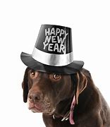 Image result for Happy New Year Dog Meme