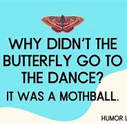 Image result for Insect Jokes
