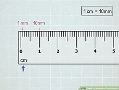 Image result for What Does 6Cm Look Like