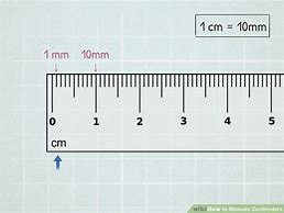 Image result for What Is the Length of a Centimeter