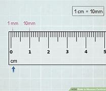 Image result for What Does 24 Cm Look Like