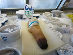 Image result for Geoduck Dirty