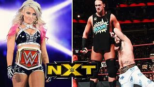Image result for NXT Wrestling Stars