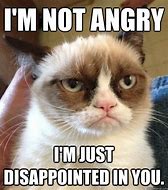 Image result for I'm Not Mad Just Disappointed Meme