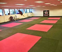 Image result for Martial Arts Gym