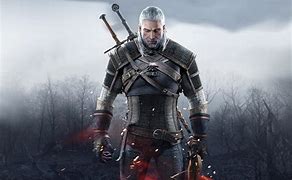 Image result for witcher