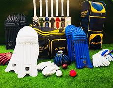 Image result for Cricket Kit Items