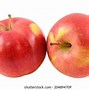 Image result for Jonathan Apple Tree