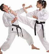 Image result for Types of Karate Martial Arts
