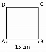 Image result for Square Perimetre in Cm