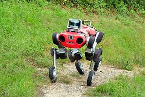 Image result for Wheeled Robot