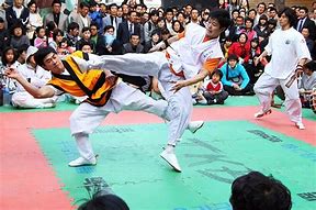 Image result for Top 10 Martial Arts in the World