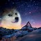 Image result for Dancing Galaxy Meme Dog