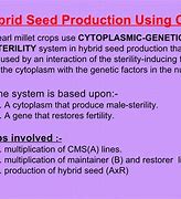 Image result for Hybrid Cucumber Seeds