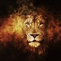 Image result for Cool Lion Profile