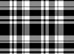 Image result for Plaid Pattern Black and White Spots